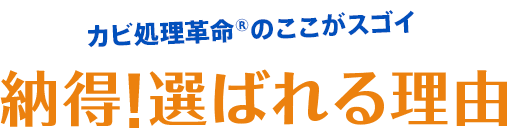 カビ処理革命®のここがスゴイ 納得！選ばれる理由